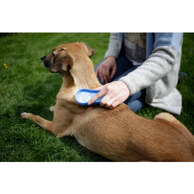 Szczotka Do Czesania Wyczesywania dla Psa Kota MagicBrush