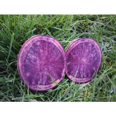 Świeże ziemniaki fioletowe 10kg - Polska