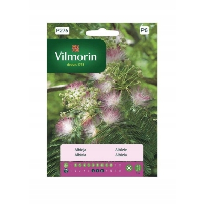 ALBICJA JEDWABNE DRZEWO ŚWIECI W NOCY Nasiona Vilmorin