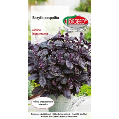 Bazylia czerwona nasiona – aromatyczne zioło
