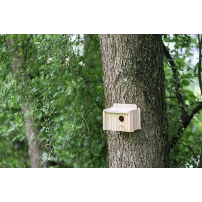 Domek budka lęgowa dla ptaków ptaki