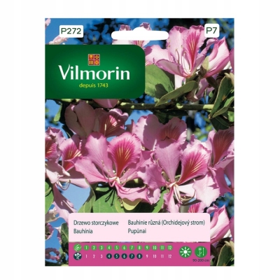 Drzewo Storczykowe nasiona 6g kwiaty jak storczyki VILMORIN