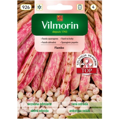 Fasola Flambo wczesna kolorowa 30 g Vilmorin