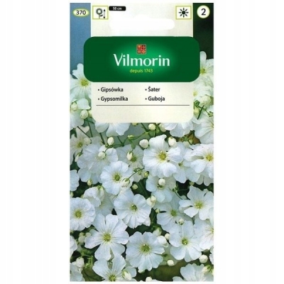 Gipsówka wiechowata biała nasiona Vilmorin