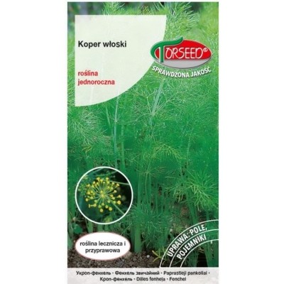 Koper włoski nasiona – fenkuł warzywny nasiona