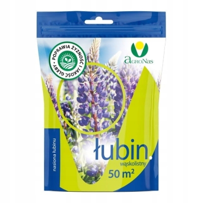 ŁUBIN wąskolistny Regnet słodki, kwalifikat 1 kg Nasiona