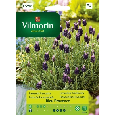 Lawenda francuska Nasiona Premium