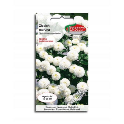 Maruna biała SNOW BALL nasiona – kwiaty ogrodowe