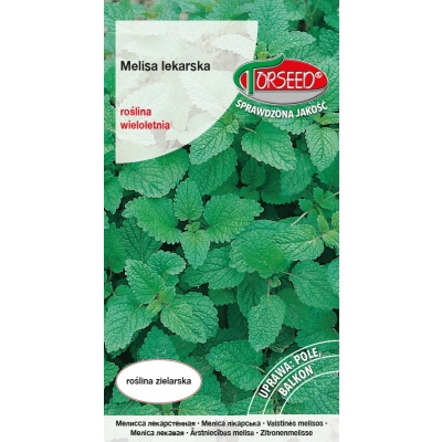 Melisa lekarska nasiona – do ogrodu i doniczki