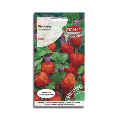 Miechunka owoce jak lampiony OZDOBNA ROŚLINA nasiona TORSEED