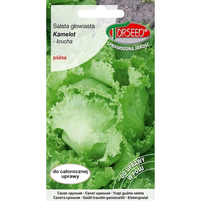 Nasiona SAŁATY Kamelot KRUCHA całosezonowa