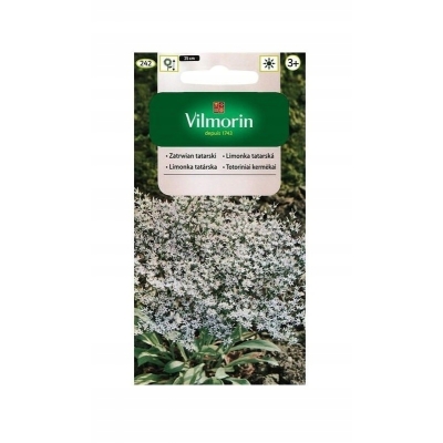 Nasiona kwiatów Zatrwian tatarski kwiat cięty do suchych bukietów