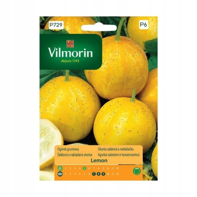 OGÓREK gruntowy Lemon cytryna Odmiana ozdobna Vilmorin