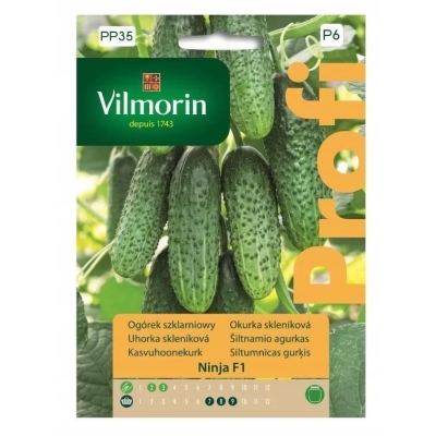 Ogórek Ninja F1 – nasiona ogórka szklarniowego