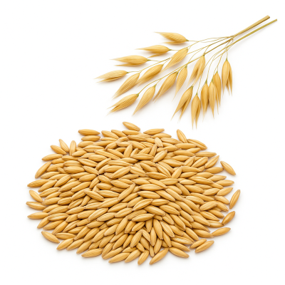 Owies karma dla drobiu królików koni 20kg