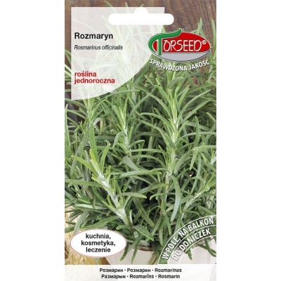 Rozmaryn nasiona – zioło aromatyczne