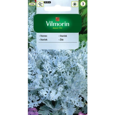 STARZEC MROZY ZĄBKOWANE Nasiona