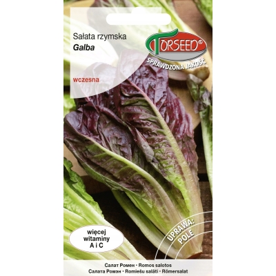 Sałata GALBA nasiona  plenna, chrupiąca, odporna | HIT OGRODNICZY