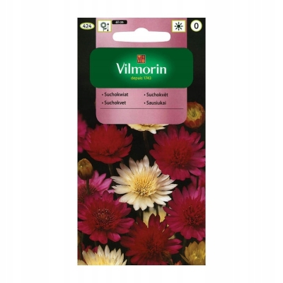 Suchokwiat mieszanka na suche bukiety Vilmorin