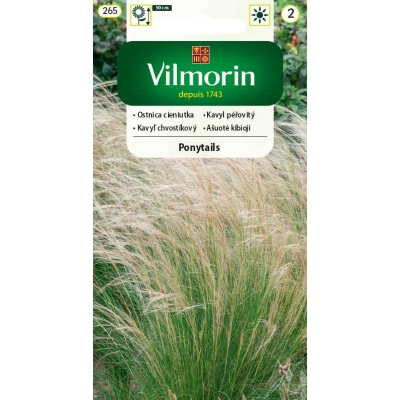 Trawa Ozdobna Ostnica cieniutka Ponytails nasiona