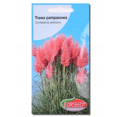 Trawa pampasowa różowa nasiona – Cortaderia selloana
