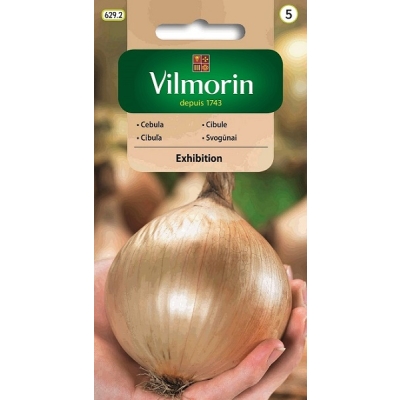 Cebula Exhibition – nasiona cebuli olbrzymiej