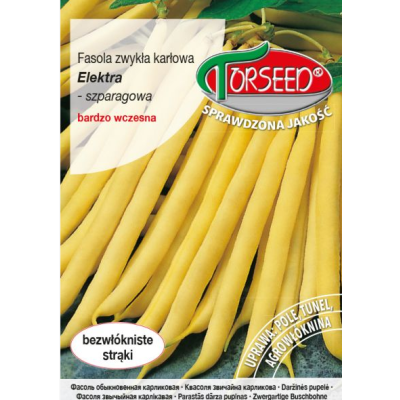 Fasola ELEKTRA nasiona – plenna odmiana, szybki wzrost, idealna do ogrodu żółta 50 g