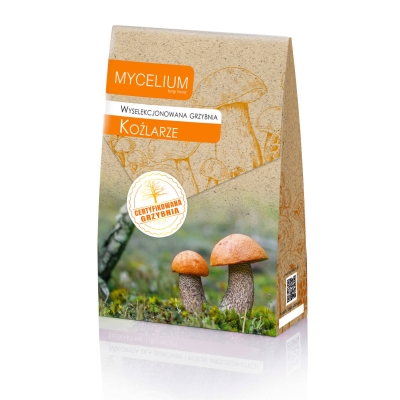 Grzybnia Kożlarze Kozaki 120ml grzyby