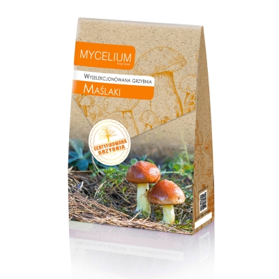 Grzybnia Maślaki 120ml grzyby Certyfikowana