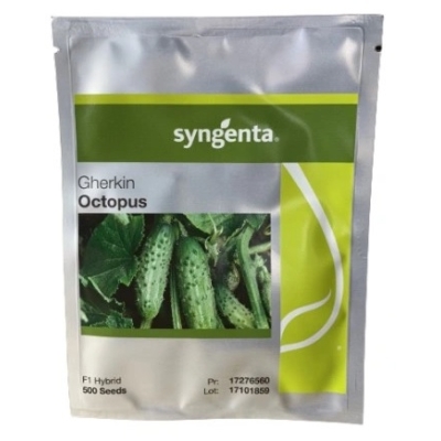 OGÓREK GRUNTOWY OCTOPUS HOLENDERSKIE NASIONA