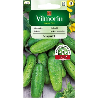 Ogórek Octopus F1 1,5 g Vilmorin TOP ODMIANA