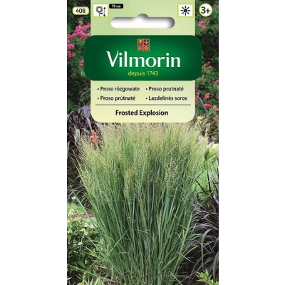 Proso rózgowate – nasiona trawy ozdobnej