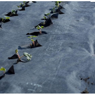 6 x Agrowłóknina Otwory Pod Truskawki 1,2 x 10 m Zestaw