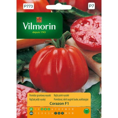 Pomidor gruntowy wysoki Corazon F1 typ Bawole Serce Gruszkowy