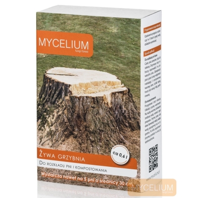 ŻYWA GRZYBNIA do rozkładu pni i korzeni drzew